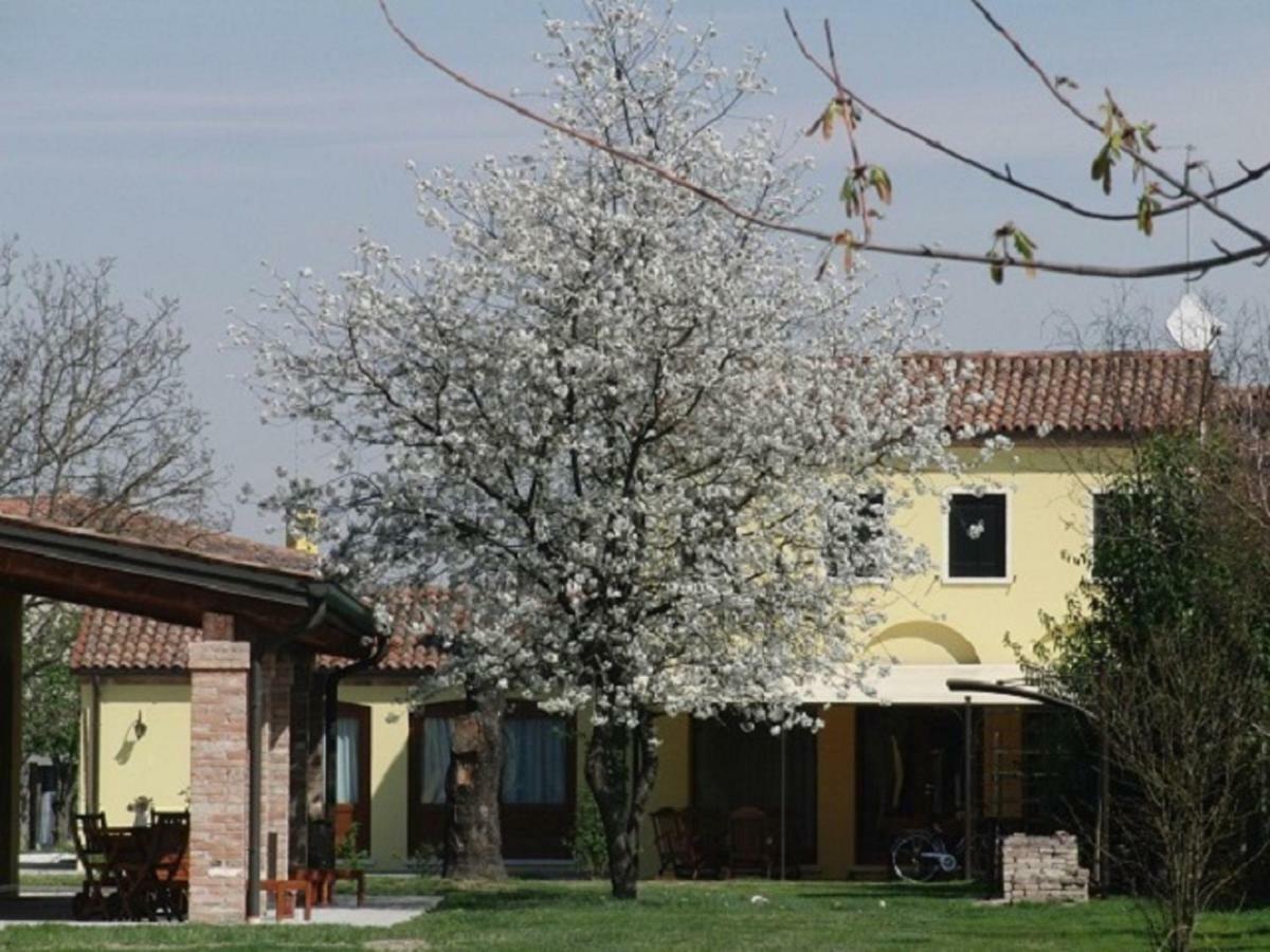 Particolari Del Brenta Leilighet Oriago Di Mira Eksteriør bilde